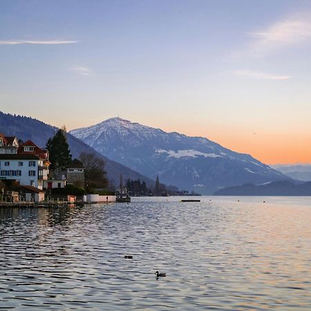 Ariser - Zug Mountain View Business Apartment Buitenkant foto